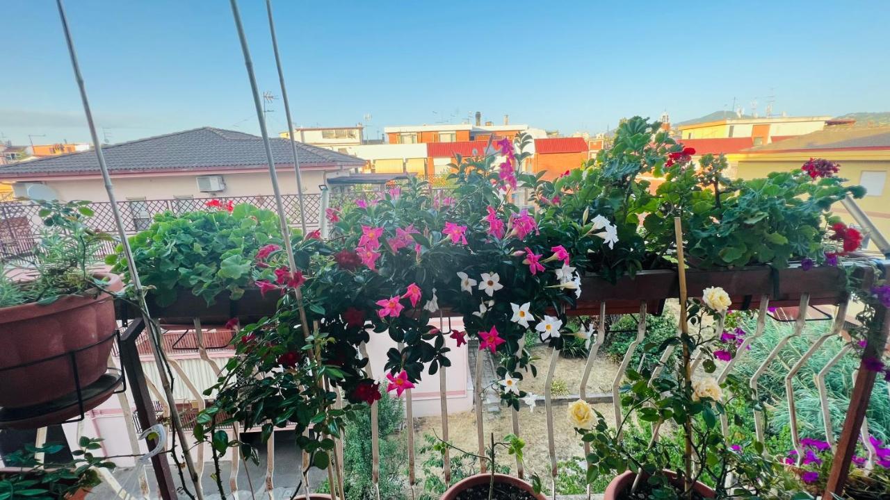 Oasi Di Serenita Marino Dış mekan fotoğraf