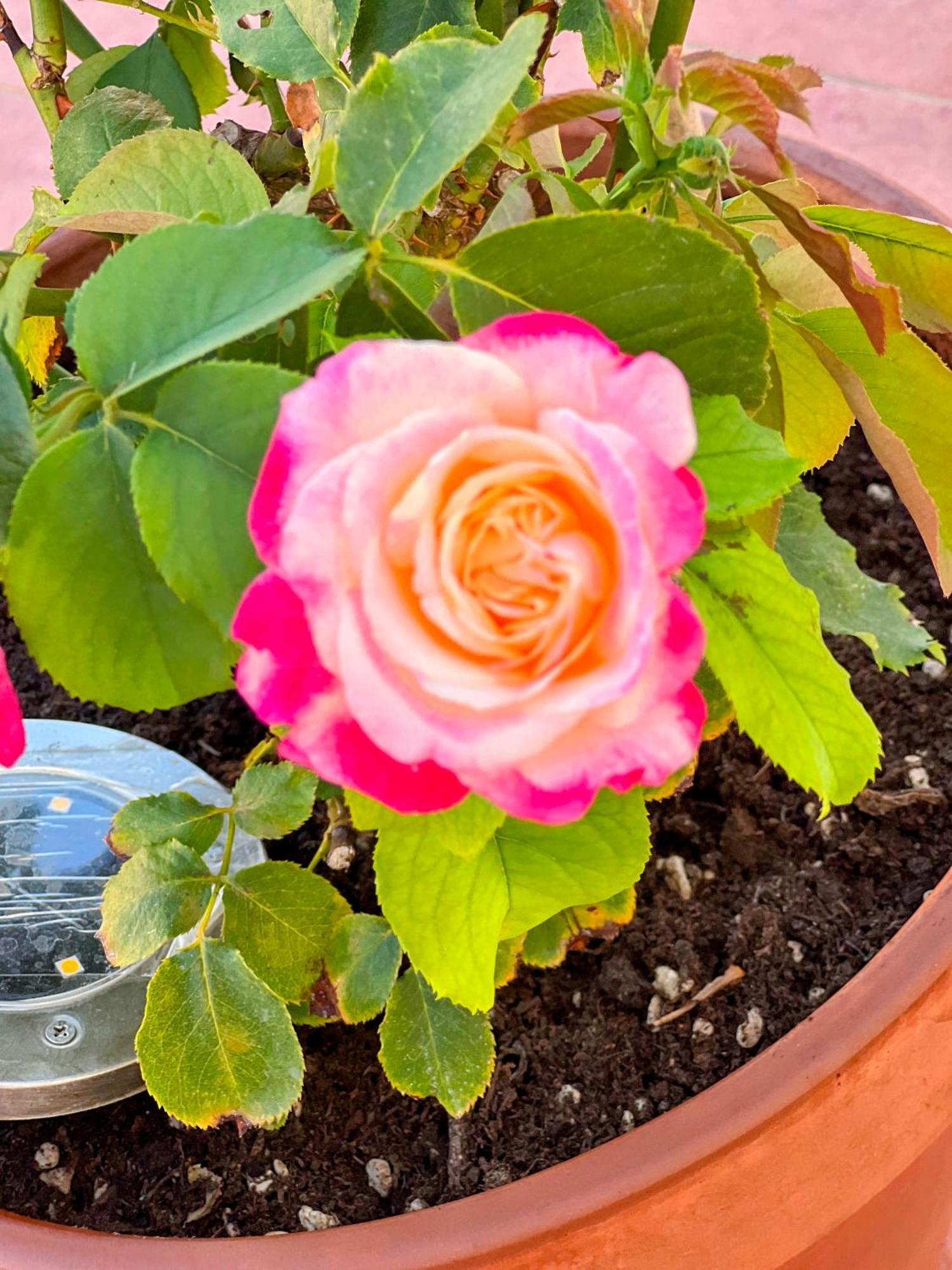 Oasi Di Serenita Marino Dış mekan fotoğraf